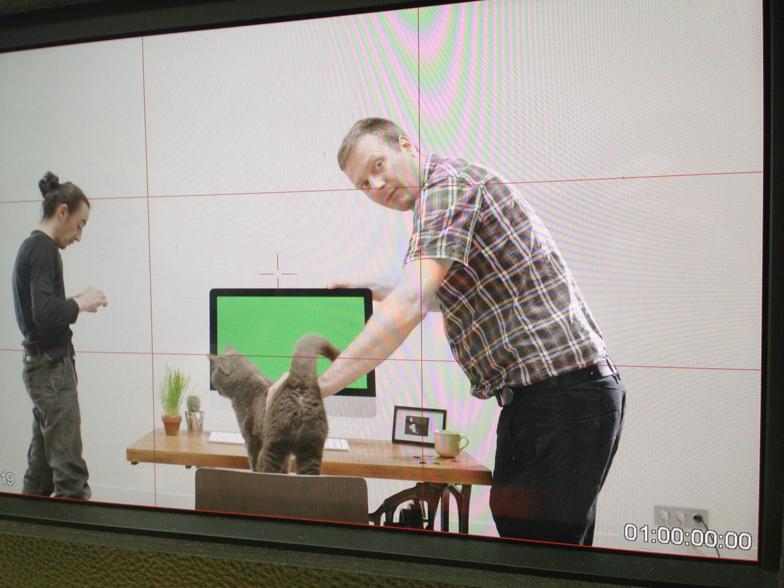 A production monitor shows the crew positioning the grey cat on the desk.