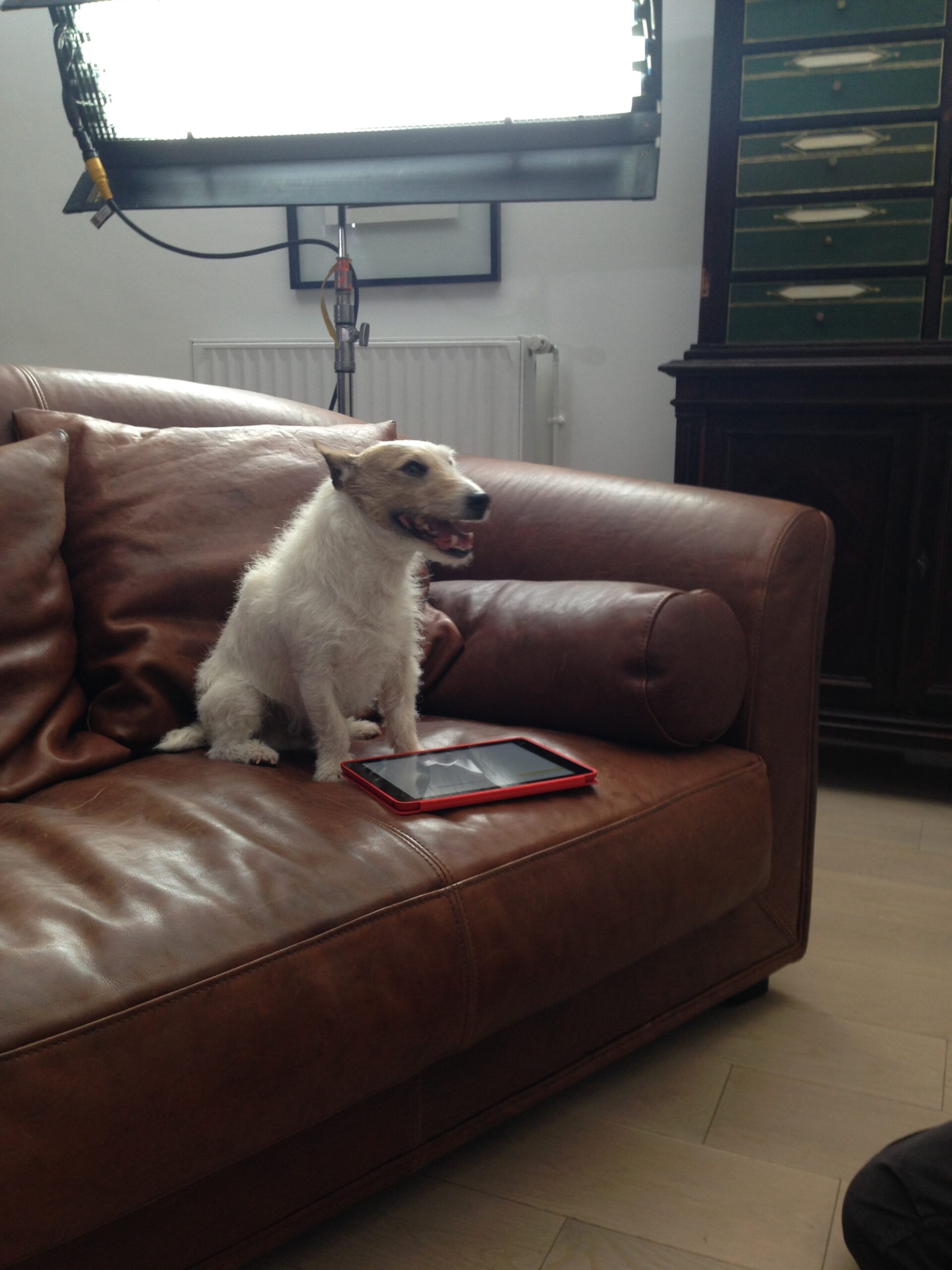 A dog beside a red tablet on a leather sofa, with the film light visible above.