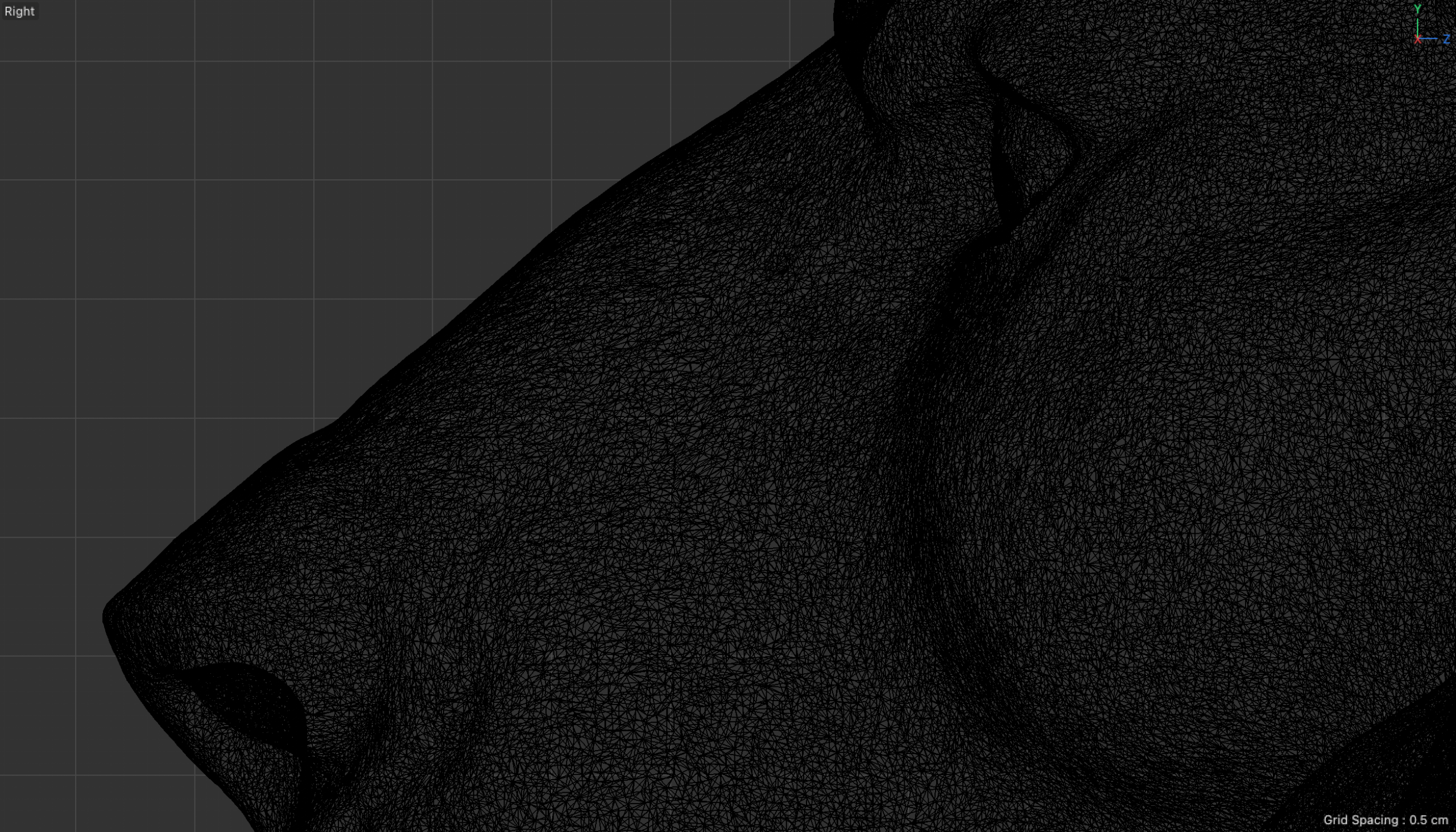 Dense polygon mesh of the lion&rsquo;s head in a side view of the 3D model.
