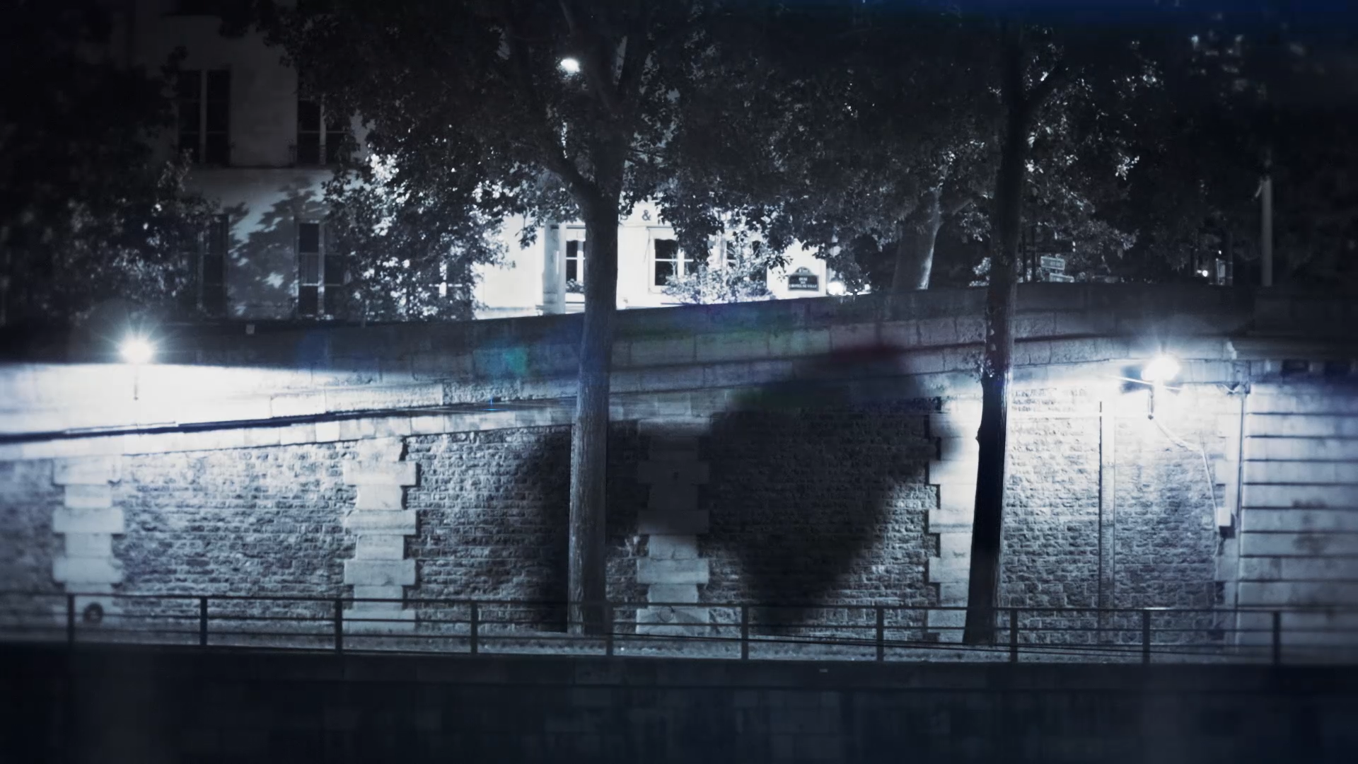 The shadow of the lion crosses the stone embankment beside the Seine.